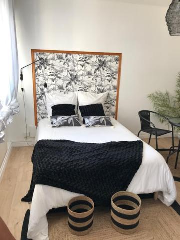 Appartements Pyrenees-Barthou Pau Exteriér fotografie